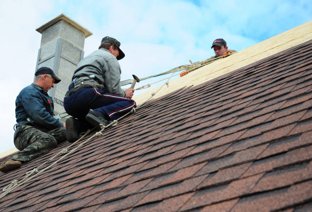 Best Emergency Roof Repair  in Dewitt, MI