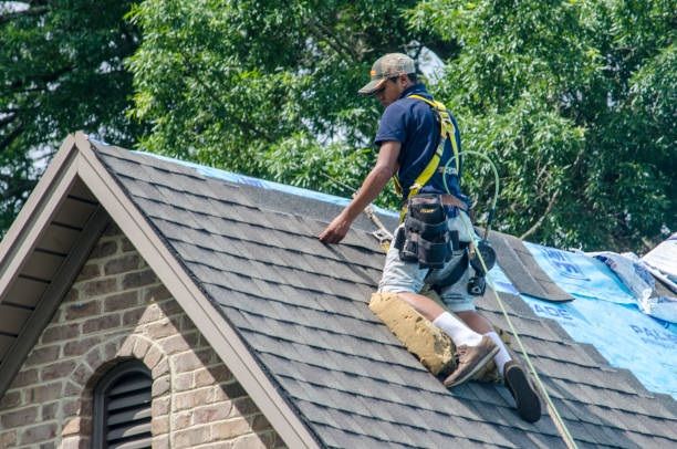 Quick and Trustworthy Emergency Roof Repair Services in Dewitt, MI